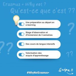 Erasmus + why not